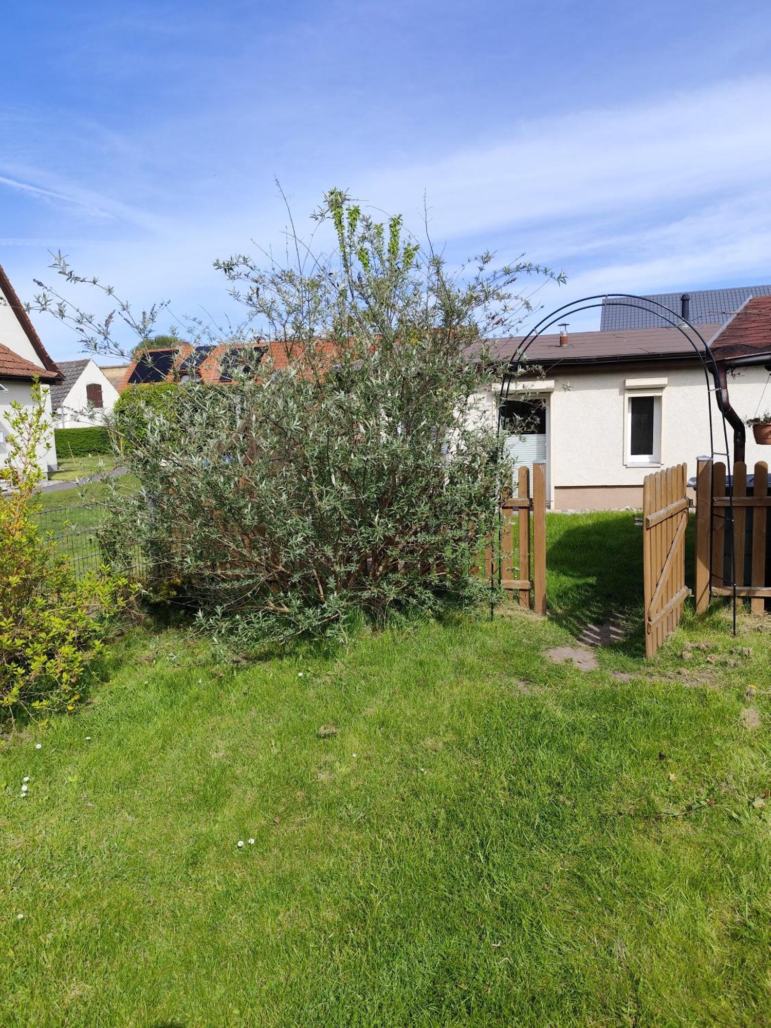 Sonnengarten Uckeritz Exterior photo